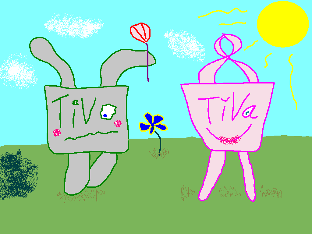 When TiVo met TiVa